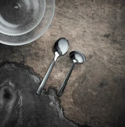 Clearance Aida Raw serving spoon and ladle, Polished stainless steel Silver-coloured