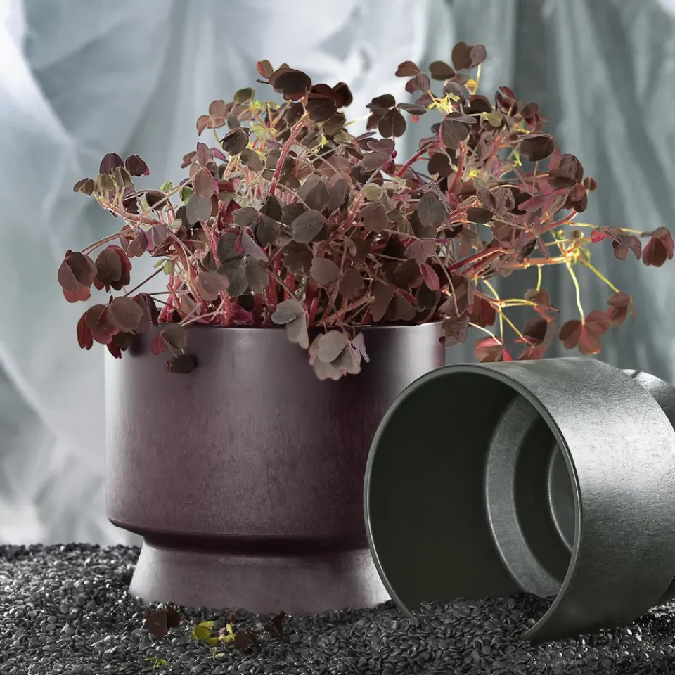 Best Rosendahl Ro flower pot Ø19 cm, Bordeaux Red
