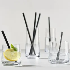 Best Zone Denmark Rocks lowball glass 2-pack, 22 cl Transparent