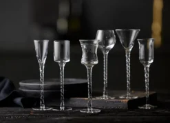 Shot Glasses^Lyngby Glas Rom snaps glass 2.5-5 cl 6 pieces, Clear Transparent