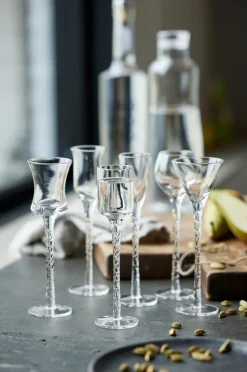 Shot Glasses^Lyngby Glas Rom snaps glass 2.5-5 cl 6 pieces, Clear Transparent