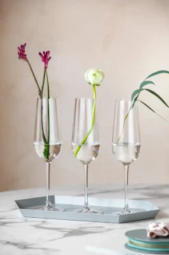 Clearance Villeroy & Boch Rose Garden champagne glass 4-pack 29 cl, Clear Transparent