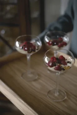 Online Sagaform Saga cocktail glass 2-pack, Clear Transparent