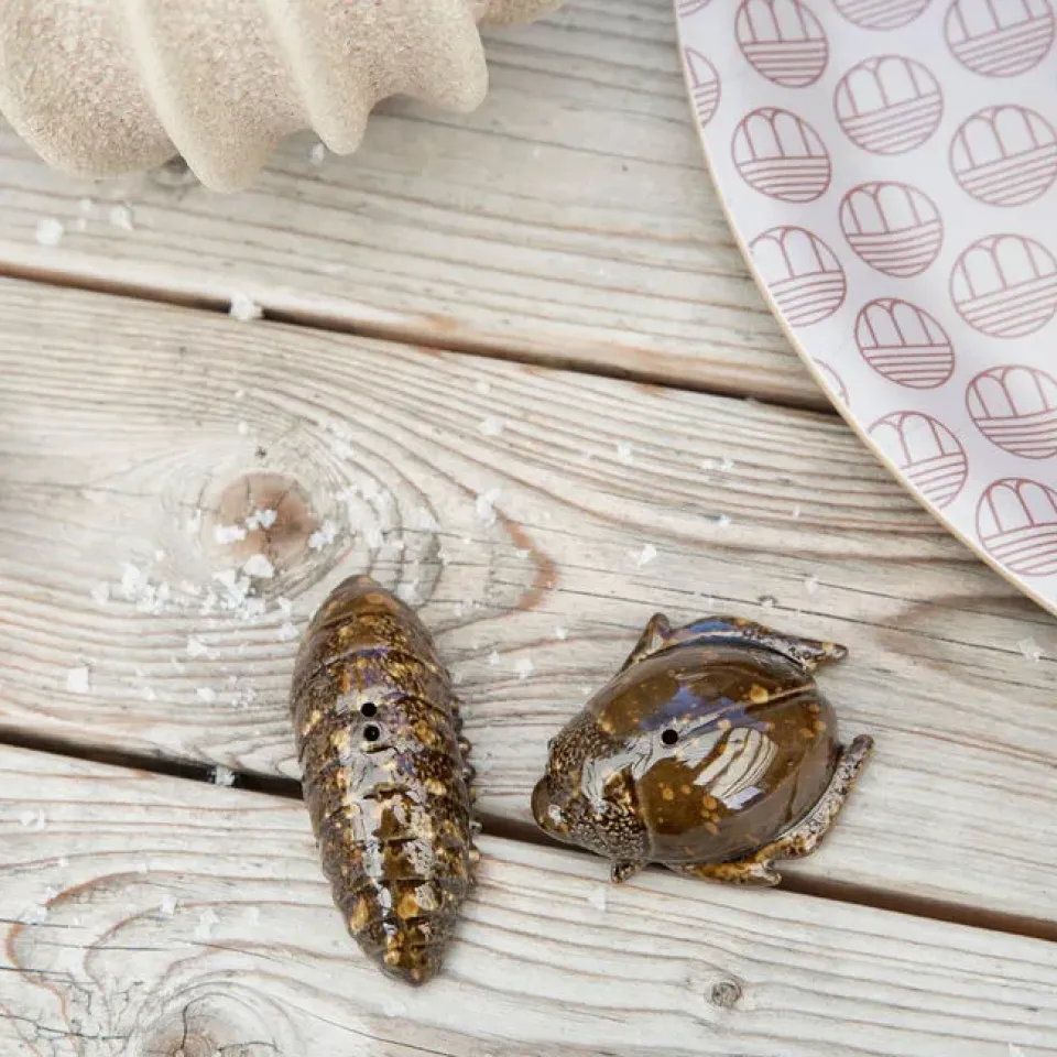 Salt & Pepper Shakers^Byon Salt- & pepper shaker beetles, Brown