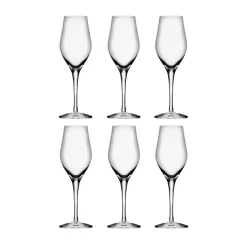 Champagne Glasses^Orrefors Sense champagne glass 25.5 cl 6-pack, Clear Transparent