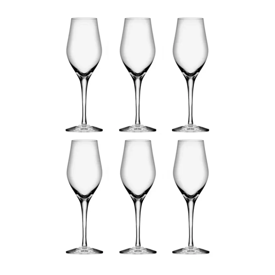 Champagne Glasses^Orrefors Sense champagne glass 25.5 cl 6-pack, Clear Transparent
