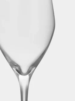 Champagne Glasses^Orrefors Sense champagne glass 25.5 cl 6-pack, Clear Transparent