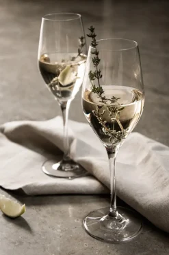 Champagne Glasses^Orrefors Sense champagne glass 25.5 cl 6-pack, Clear Transparent