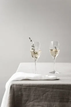 Champagne Glasses^Orrefors Sense champagne glass 25.5 cl 6-pack, Clear Transparent