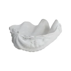 Decorative Accessories^Mette Ditmer Shell decoration, Small White