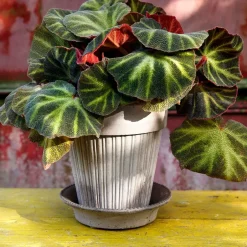 Hot Bergs Potter Simona flower pot Ø18 cm, Grey