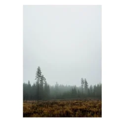 Posters^Fine Little Day Skog poster, 70x100 cm BrownGrey