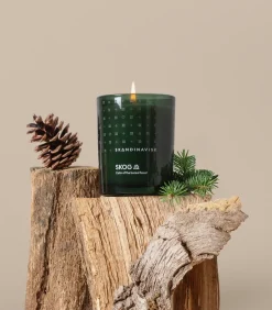 Clearance Skandinavisk Skog scented candle with lid, 65 g Green