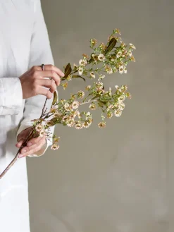 Outlet Bloomingville Stem wax flower, White