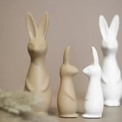 Hot DBKD Swedish rabbit large, White
