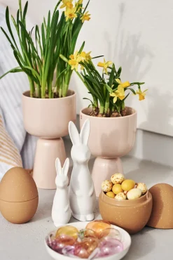 Hot DBKD Swedish rabbit large, White