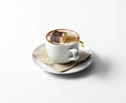 Seltmann Weiden Terra coffee saucer Ø16.1 cm 6-pack, White