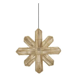Christmas Stars^PR Home Vega advent star nature, 69 cm Beige
