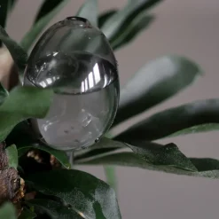 Watering Cans^DBKD Waterbubble self-watering device, clear Transparent