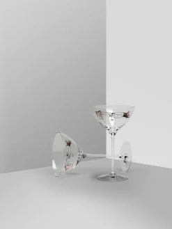 Champagne Glasses^Kosta Boda You and me together champagne coupe 32 cl 2-pack, Clear / Multi Transparent