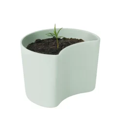 Sale RIG-TIG YOUR TREE pot with seeds, (Pine) Green