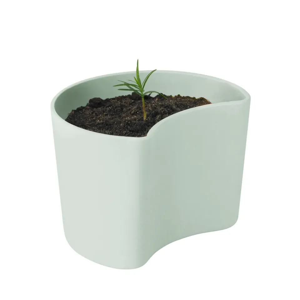 Sale RIG-TIG YOUR TREE pot with seeds, (Pine) Green