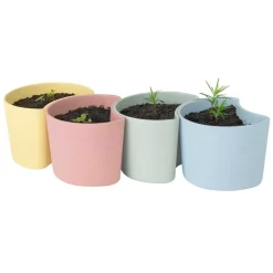 Sale RIG-TIG YOUR TREE pot with seeds, (Pine) Green