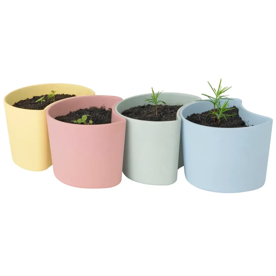 Sale RIG-TIG YOUR TREE pot with seeds, (Pine) Green