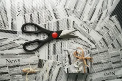 Zwilling Twin universal scissors, 20 cm Black